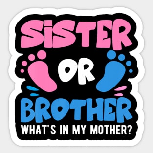 Sister Or Brother What'S In My Mother Gender Baby Reveal Sticker